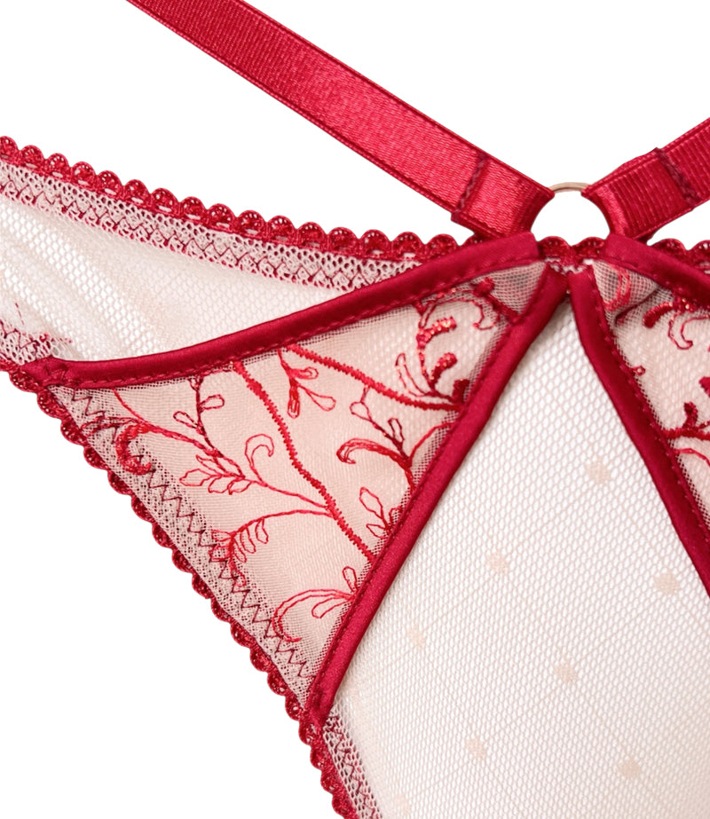 PANTY CARMINE
