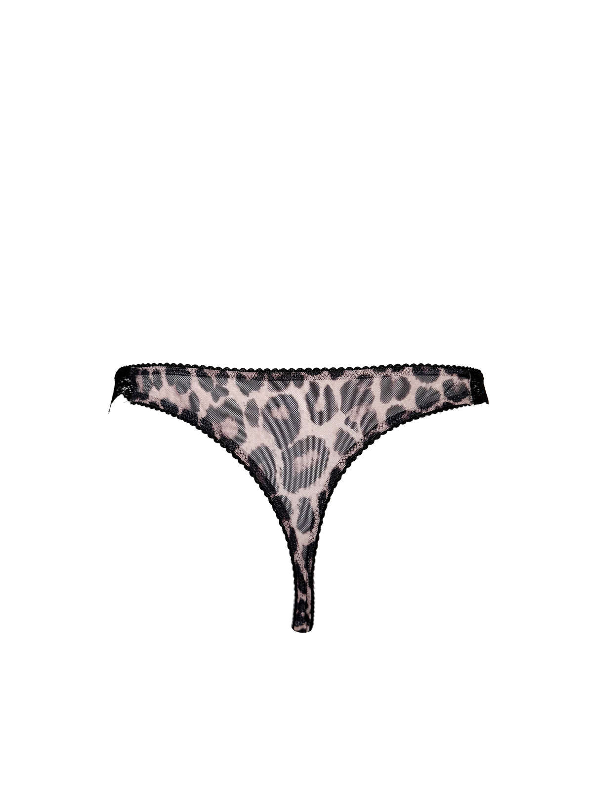 TANGA CHITRA